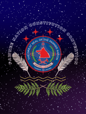 Color Branded Constitution Convention Logo Series