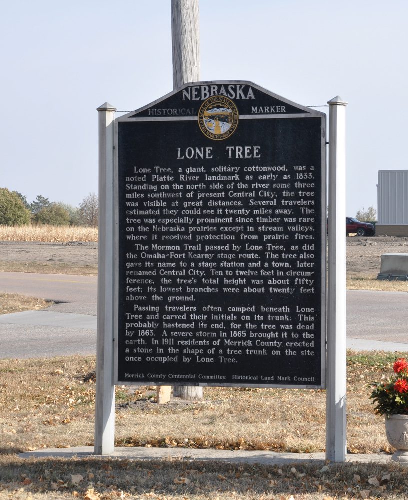 Lone Tree Lone Tree