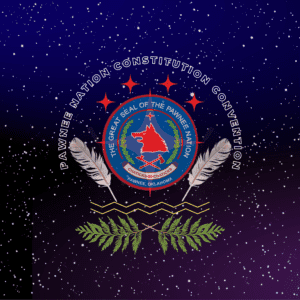 Color Branded Constitution Convention Logo Series