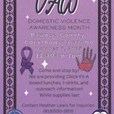 DV Awareness Luncheon flyer revised 2025