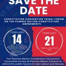 Political Election Flyer